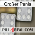 Großer Penis 17